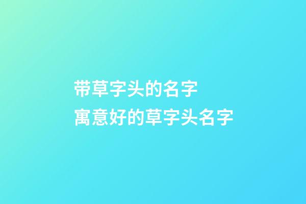 带草字头的名字  寓意好的草字头名字